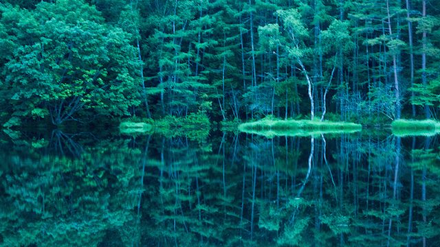 緑響く 池に迷いこむ たったひとつを叶える旅 １１ Tabizine 人生に旅心を