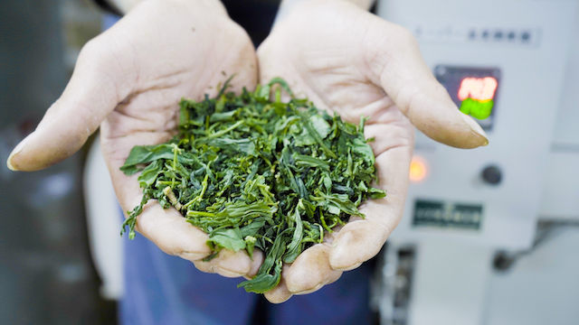 世界中から集まる100種類ものお茶から、お気に入りを見つけたい。