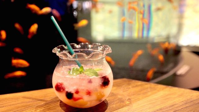 大人の金魚すくいに 出かけましょう 涼しげに泳ぐ金魚スイーツ Tabizine 人生に旅心を