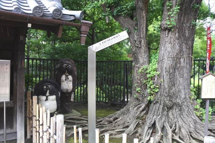 【現地ルポ】外国人観光客に大人気の浅草寺、魅力再発見