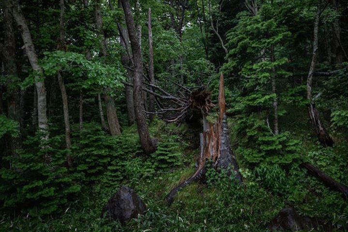 地の涯（はて）へ旅したい【世界自然遺産　北海道知床】　