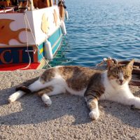 現役旅ライターが語る、最愛の国の魅力【１】ハプニングが楽しいトルコ