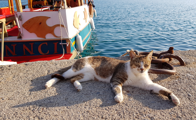 現役旅ライターが語る、最愛の国の魅力【１】ハプニングが楽しいトルコ