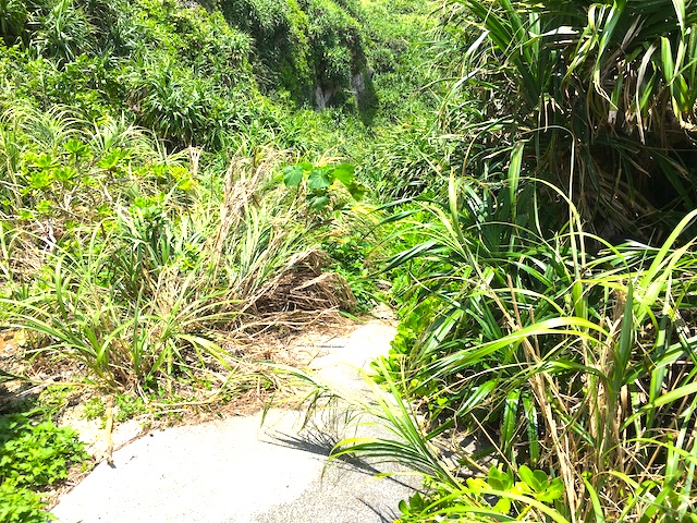 秘境感たっぷりの秘密の入江「シンビジ」への行き方【宮古島旅行記５】