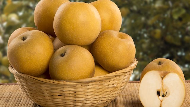 秋のフルーツ「梨」狩りを2倍楽しむための、知っておきたい豆知識