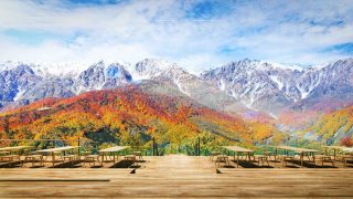 あの”THE CITY BAKERY”も出店！絶景紅葉テラスが白馬にオープン「HAKUBA MOUNTAIN HARBOR」