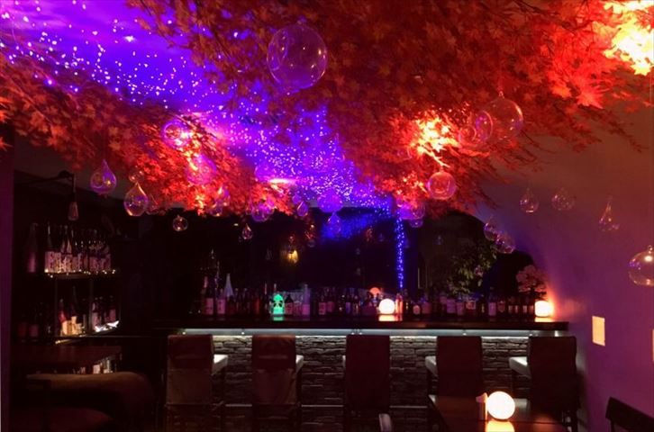 店内で楽しめる、真っ赤な紅葉と天の川！吉祥寺 SUN Tama Barの秋イルミネーション