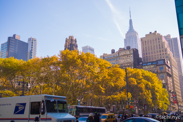 【秋のニューヨークで何を着ればいい？】9～11月の天気や気温、現地の服装