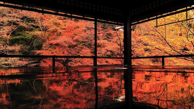 秋に宿泊者が多い都道府県ランキング~日本人と外国人に違いはあるの？