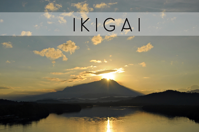 「ikigai」を知っていますか？世界が注目する日本発の人生哲学