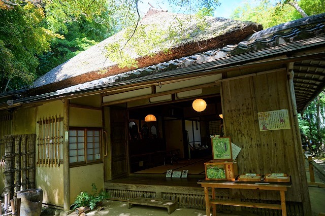 【京都嵐山】モフモフ感がたまらない、祇王寺の苔ワールドにようこそ