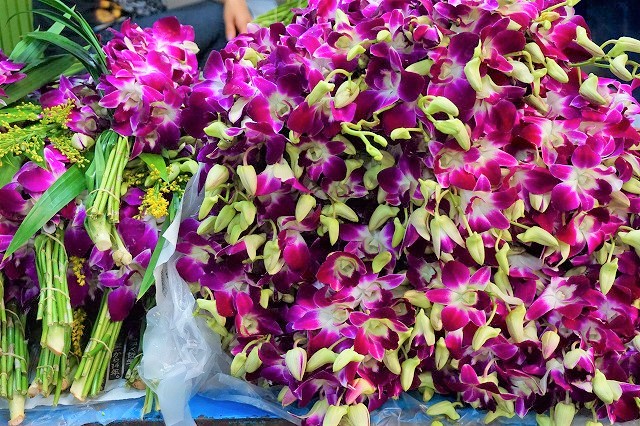 ちょっとディープなバンコク旅、バンコク最大の花市場「パーククローン市場」を散策