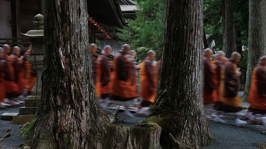 世界遺産 幻想的な夜の高野山を僧侶自らが案内してくれる「伽藍ナイトツアー」が魅力的