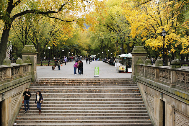 秋のニューヨーク セントラルパークの紅葉ポイント Tabizine 人生に旅心を