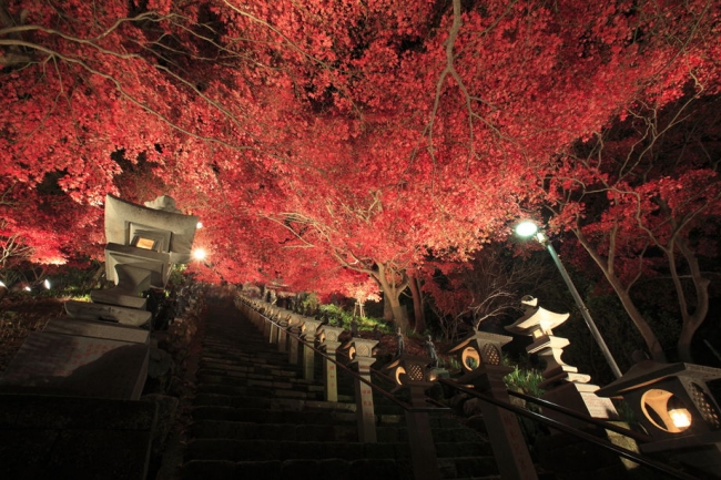 【神奈川】秋の大山詣り2018紅葉の風景