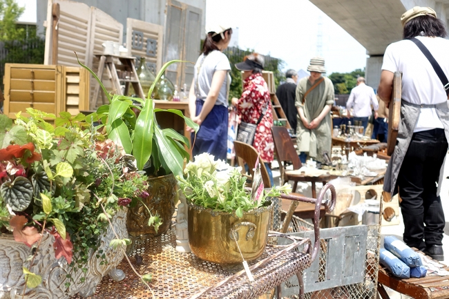 【千葉】第4回 柏の葉 蚤ノ市2