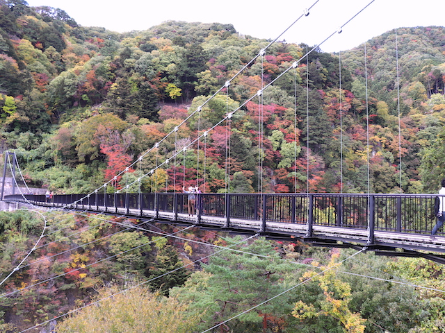 いまが旬 歩いて散策できる 鬼怒川温泉のおすすめ紅葉スポット４選 Tabizine 人生に旅心を
