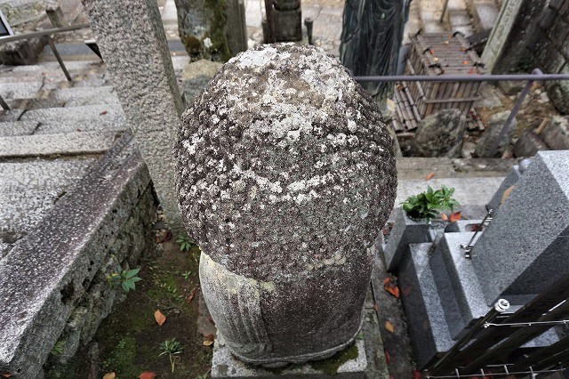京都「アフロ大仏」後ろ姿 金戒光明寺