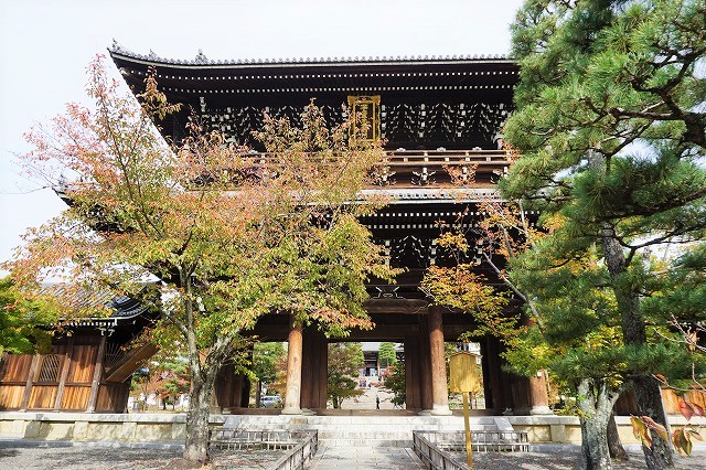 京都「アフロ大仏」金戒光明寺