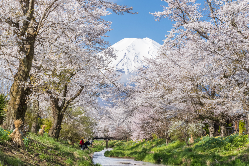 富士山の見える景色。天然記念物に指定される癒しスポット忍野八海