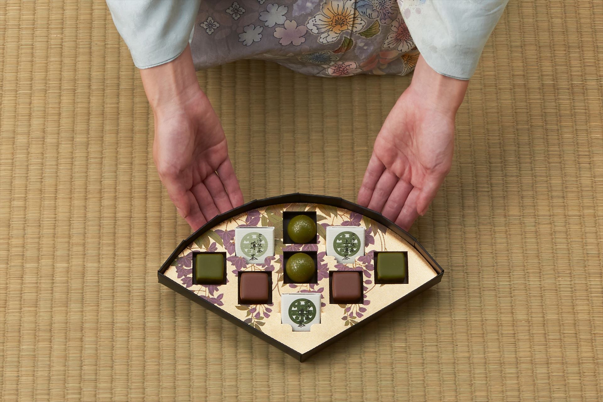 ショコラコレクション-藤-