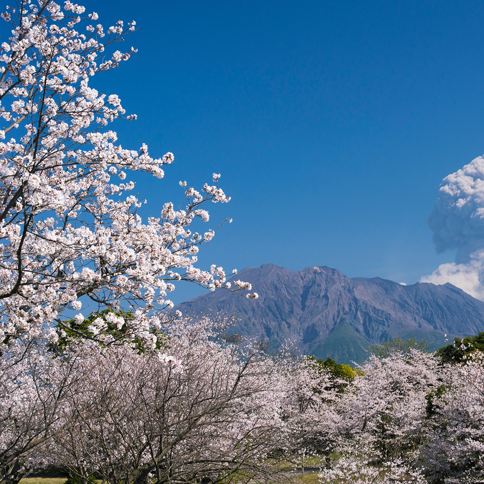 鹿児島県　吉野公園