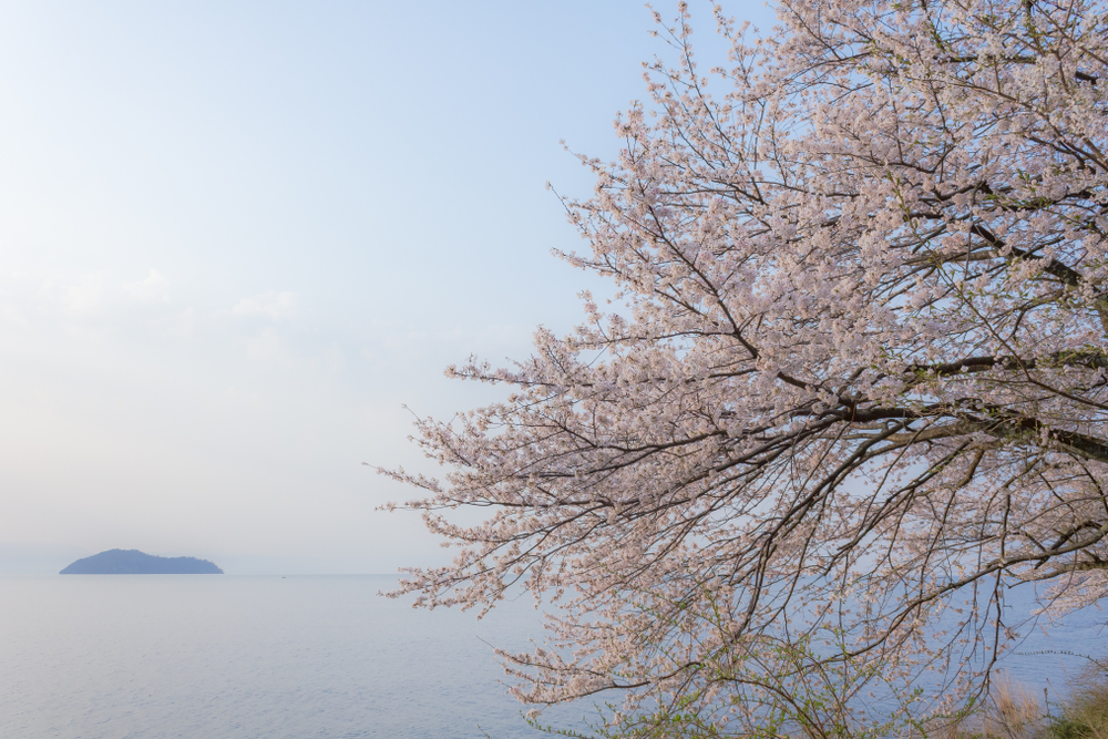 滋賀県民が教える、滋賀で楽しみたい春夏秋冬アウトドアアクティビティ