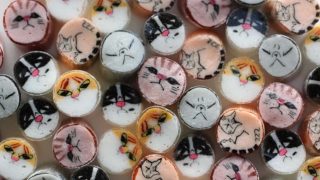 猫ミックスキャンディ パパブブレ