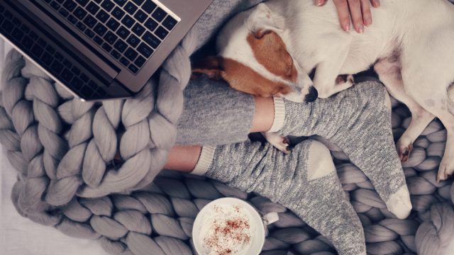 日本人は家の中で寒さを我慢しすぎ おすすめの温活方法４選も Tabizine 人生に旅心を