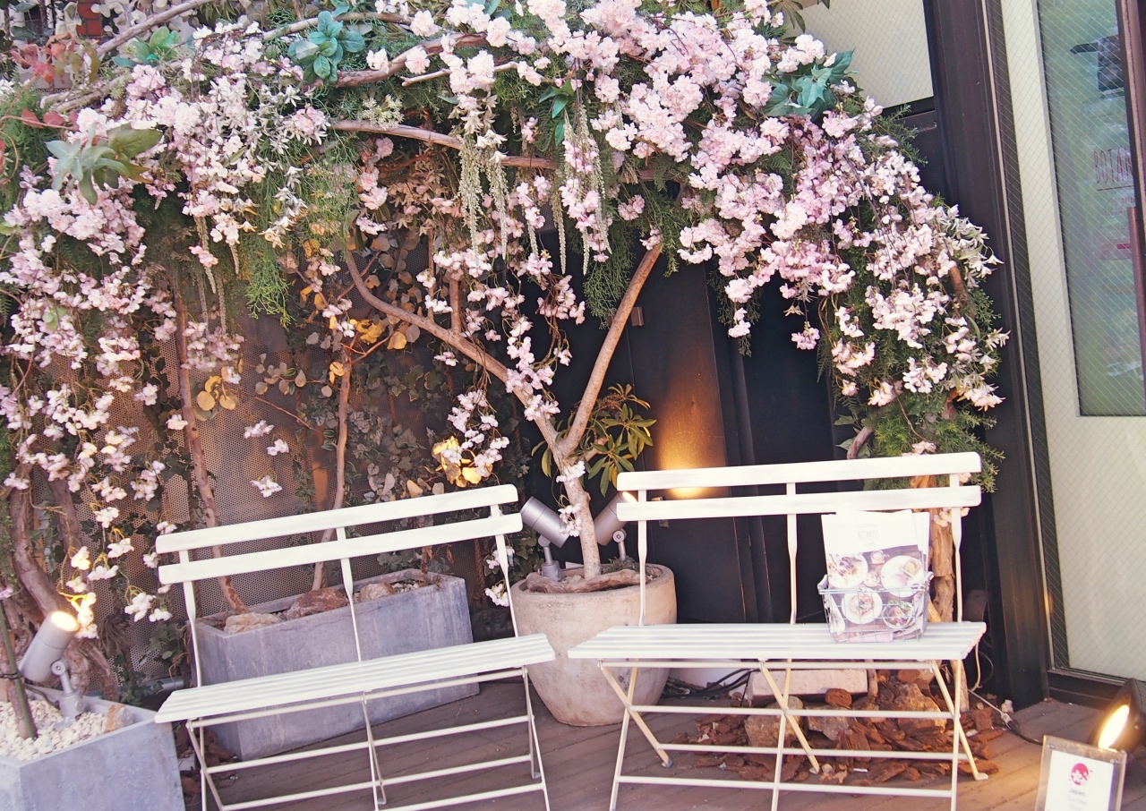 桜ベンチ