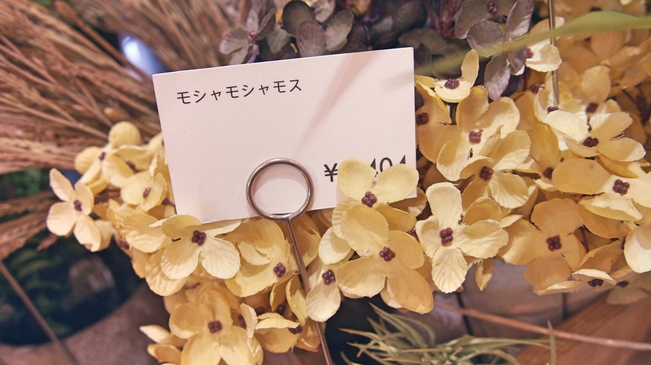 モシャモシャス