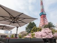東京プリンスホテル「桜まつり2019」