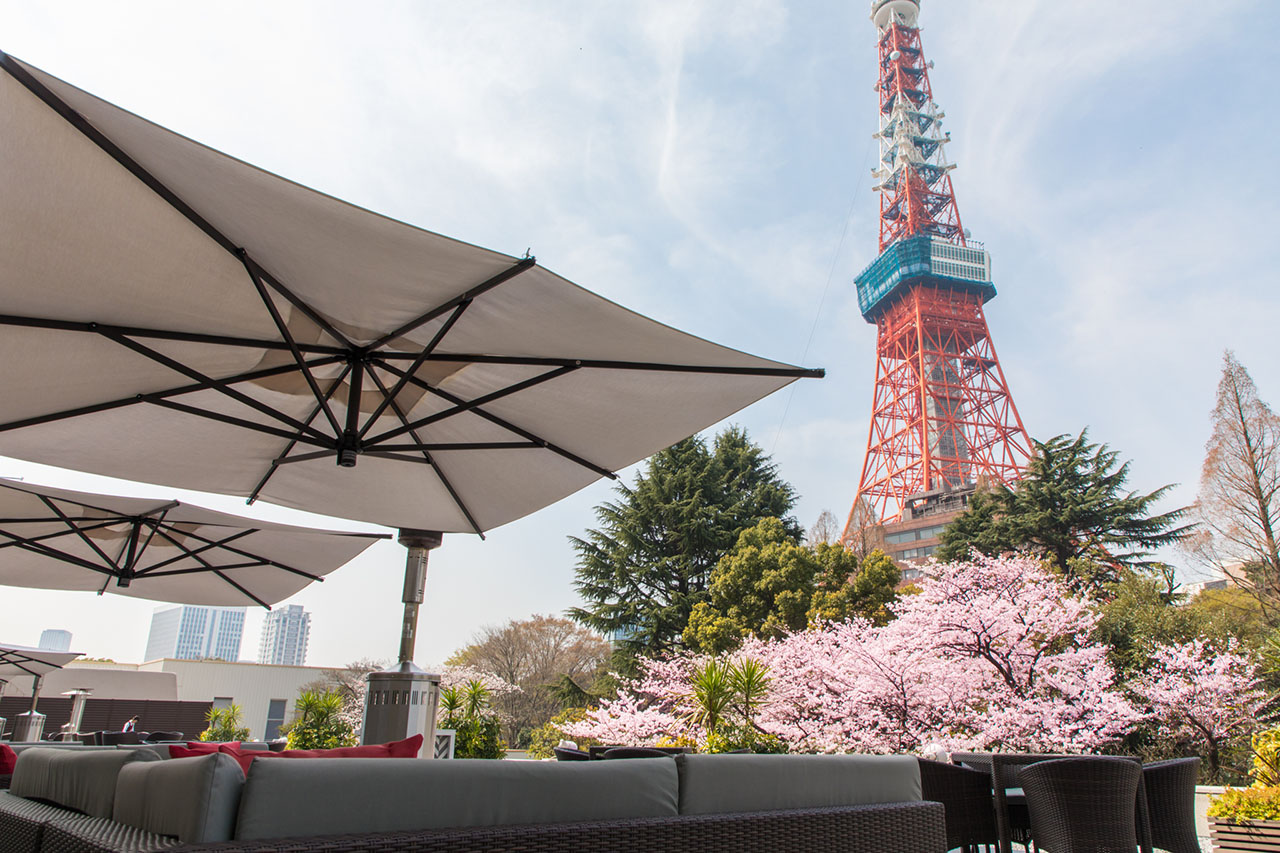 花見シーズンが待ちきれない 東京タワーの麓ホテル 桜まつり２０１９ ９選 Tabizine 人生に旅心を