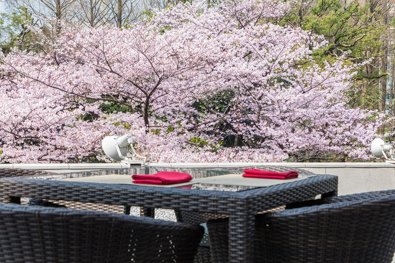 東京プリンスホテル「桜まつり2019」