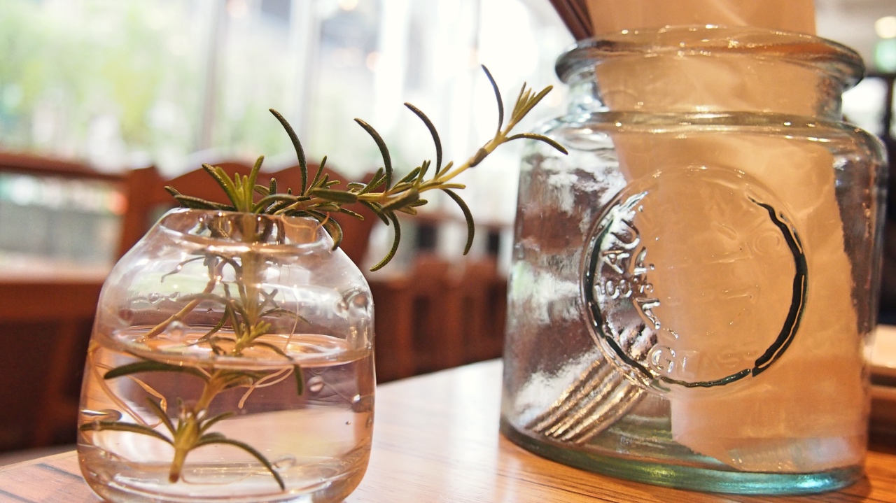 植物