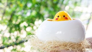 伊豆・村の駅「TAMAGOYA」ゴロゴロフルーツかき氷 ぴょっこりはん