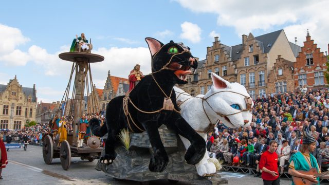 ３年に一度ベルギーが猫だらけになる イーペルの猫祭り 現地ルポ Tabizine 人生に旅心を