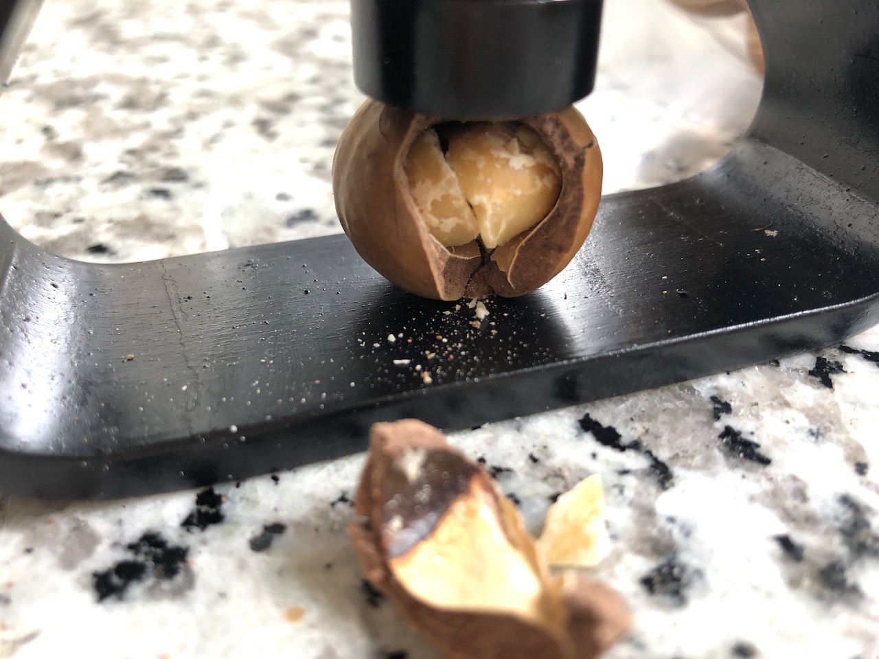 【成城石井】割り立ての風味と殻を割る楽しさ！「殻付きマカデミアナッツ」