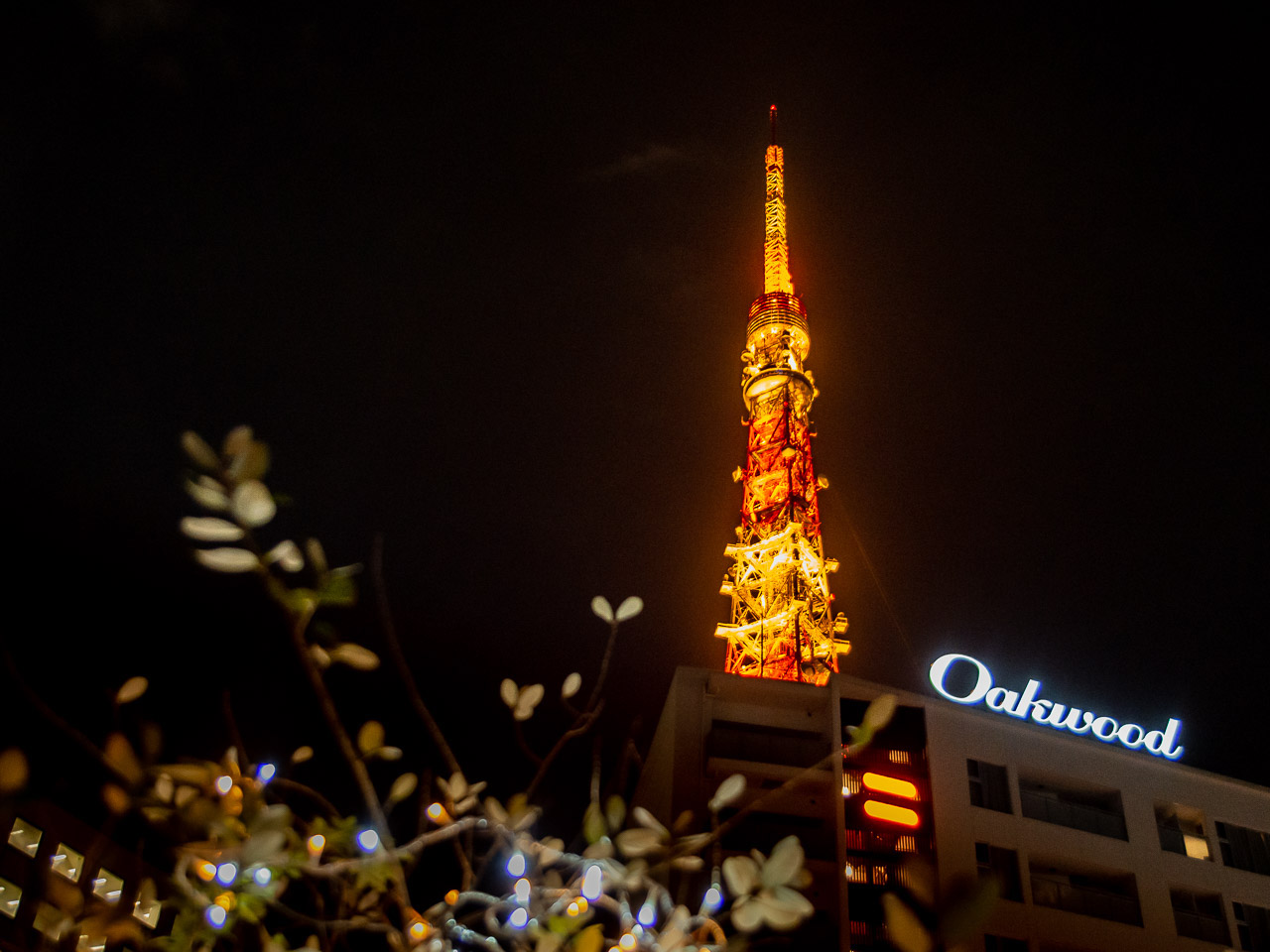 眺め抜群 東京タワーが見える 特等席 レストラン３選 Tabizine 人生に旅心を