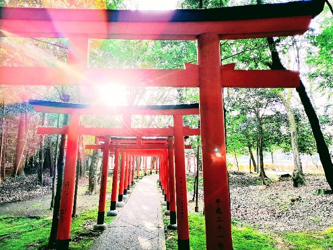 奈良 橿原神宮 の朝日 聴こえる息づかい Tabizine 人生に旅心を