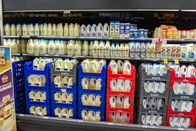 ニュージーランド 牛乳