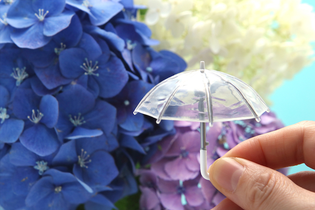 雨の日の過ごし方 快適にするアイデア 雨にまつわる豆知識 美しい風景 Tabizine Goo ニュース