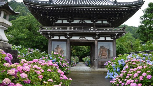 268742-04-640x360.jpg
