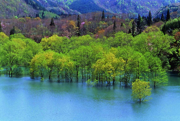 【青森県の絶景】美しすぎる!今すぐ行ってみたくなる、水と森の絶景スポット5選 | TABIZINE~人生に旅心を~