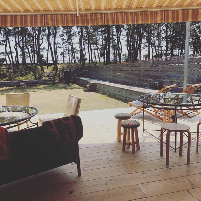 ダチョウ牧場の中のカフェ つなぐ 茶氷