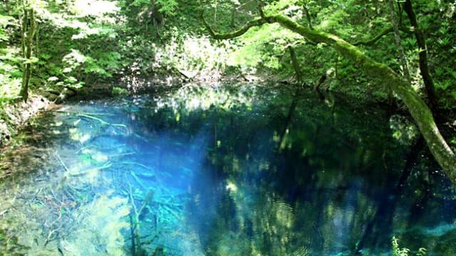 絶景と秘湯に出会う山旅 4 世界遺産 白神山地と不老ふ死温泉 Tabizine 人生に旅心を