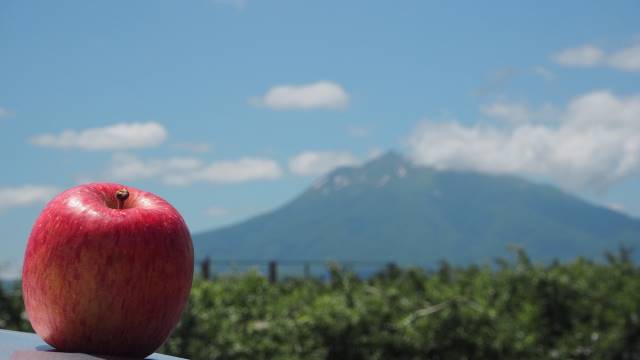 りんごUPと岩木山