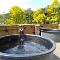 白樺リゾート池の平ホテル温泉陶器風呂