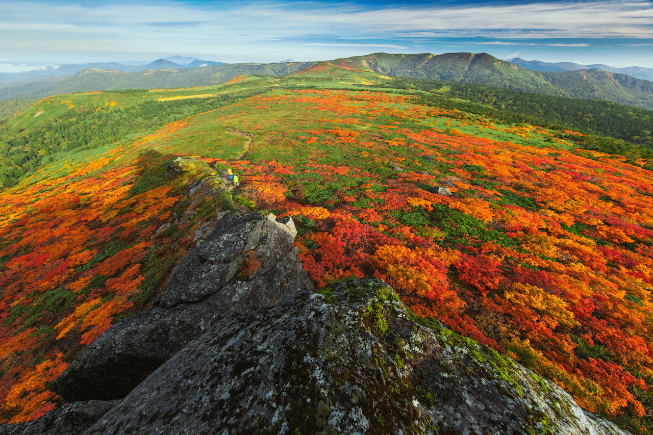 【全国紅葉の絶景】この秋マストで訪れたい！錦秋の絨毯が広がる、岩手県の紅葉人気スポット