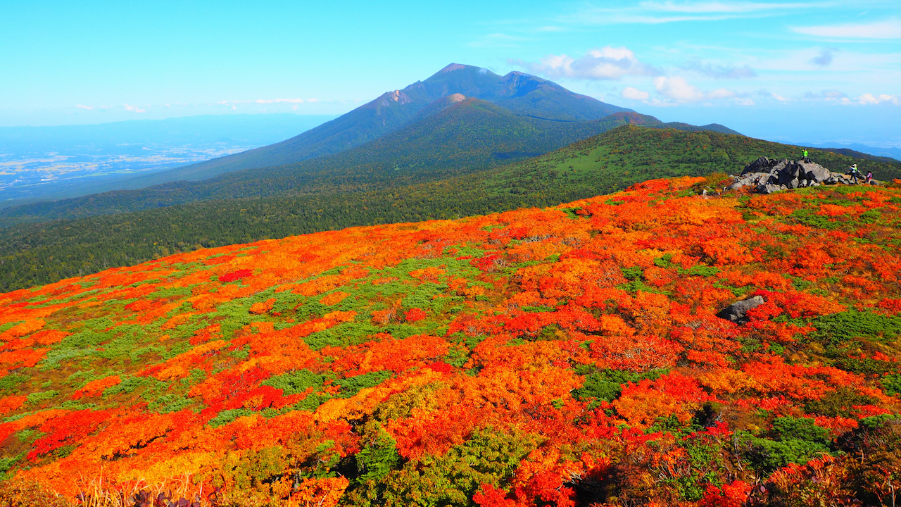 全国紅葉の絶景 この秋マストで訪れたい 錦秋の絨毯が広がる 岩手県の紅葉人気スポット Tabizine 人生に旅心を